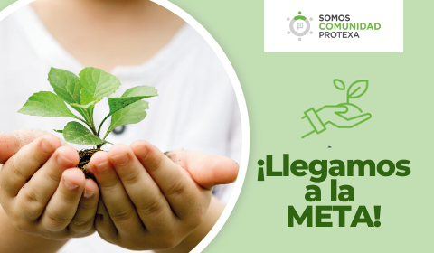 Taller de Manualidades